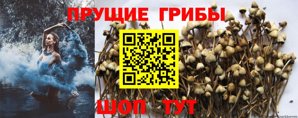 Чусовой  Галлюциногенные грибы мухоморы  Вход с VPN  Галлюциногенные грибы Magic Shrooms 