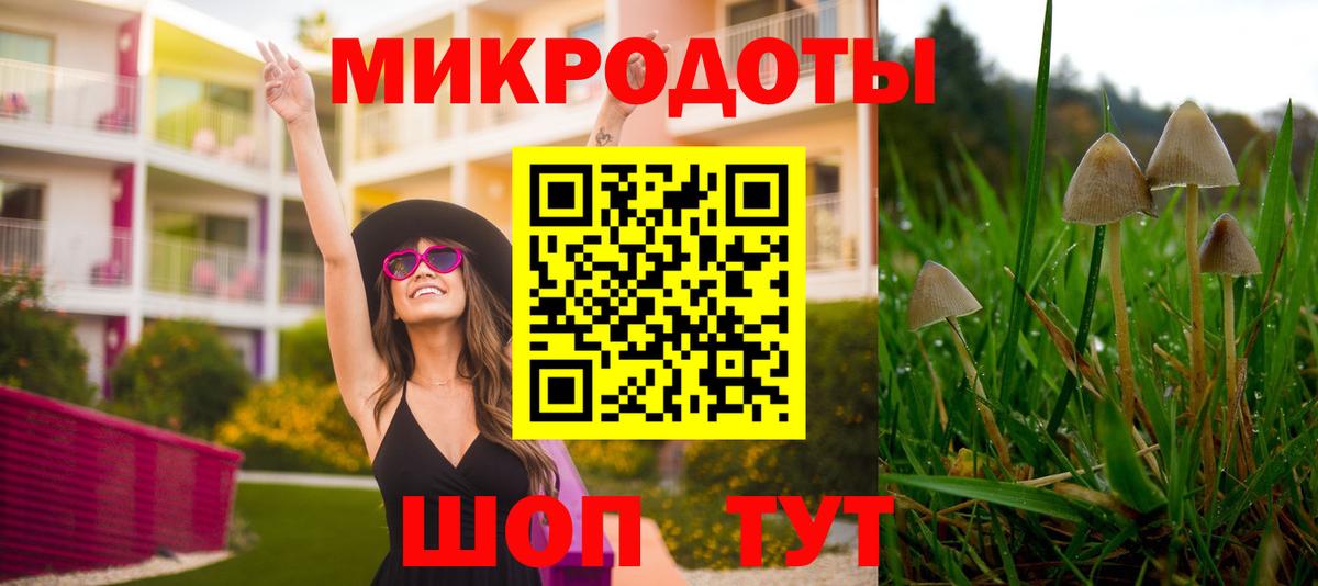 Псилоцибиновые грибы Psilocybine cubensis Чусовой