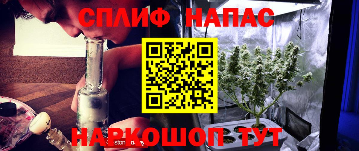 Бошки марихуана конопля  Шишки марихуана сатива  Бошки марихуана семена  Чусовой  Вход с VPN  Каннабис ГИДРОПОН 